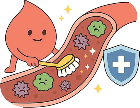 手機版上方圖片